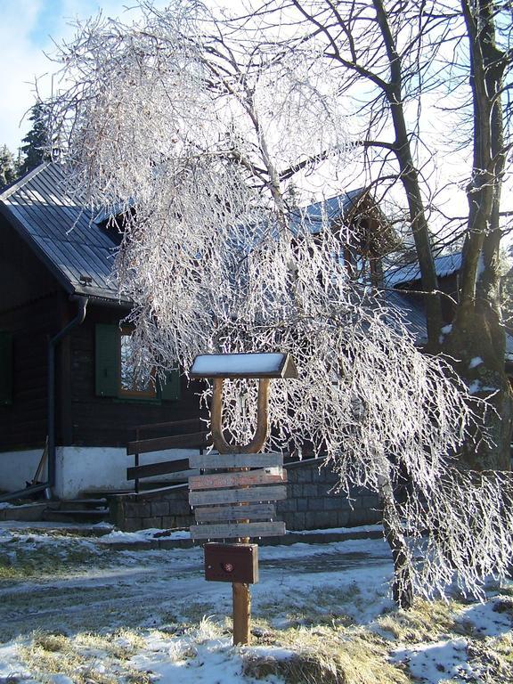 Chata Pod Koberstejnem Rejviz Exterior photo